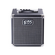 EBS Session MKII 30 Watt Bass Combo with 1 x 8