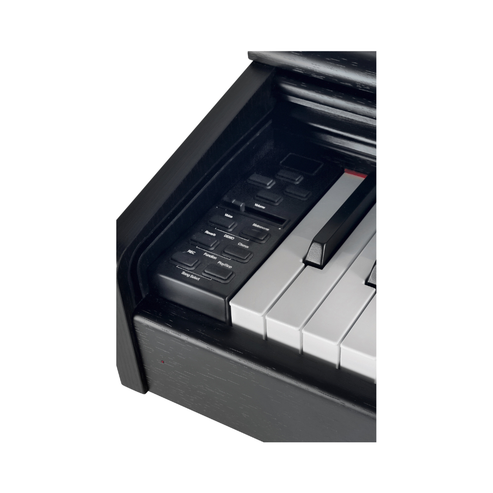 Gewa DP-300, Black
