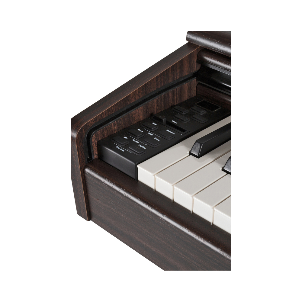 Gewa DP-300, Rosewood