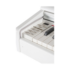Gewa DP-300, White