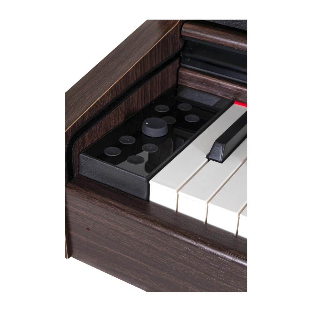 Gewa DP-345, Rosewood