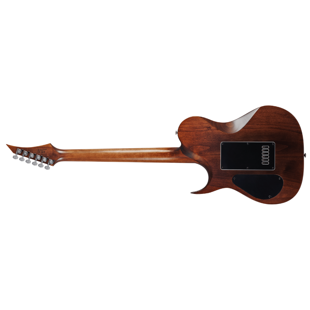 Solar Guitars T1.6D Electric Guitar – Aged Natural Matte / Distressed