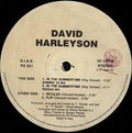 David Harleyson In The Summertime 12"Vinyl (Electronic)
