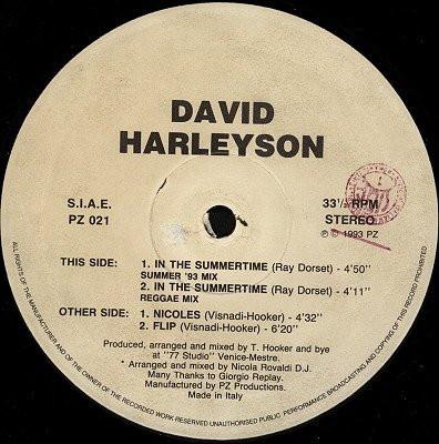 David Harleyson In The Summertime 12"Vinyl (Electronic)