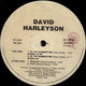 David Harleyson In The Summertime 12