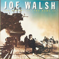 Joe Walsh You Bought It - You Name It 12"Vinyl (Rock)