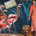 Paradise Express Paradise Express 12"Vinyl (Funk / Soul)